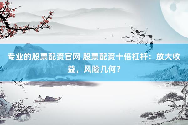 专业的股票配资官网 股票配资十倍杠杆：放大收益，风险几何？