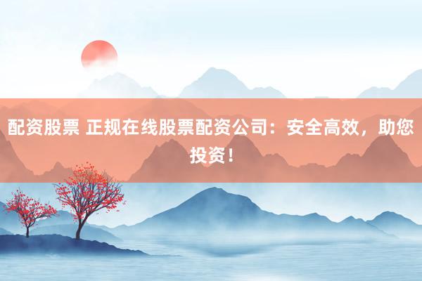 配资股票 正规在线股票配资公司：安全高效，助您投资！