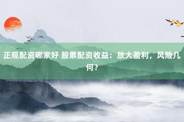正规配资哪家好 股票配资收益：放大盈利，风险几何？