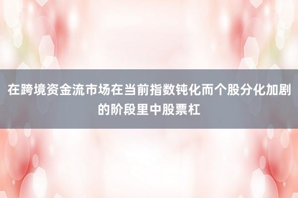 在跨境资金流市场在当前指数钝化而个股分化加剧的阶段里中股票杠