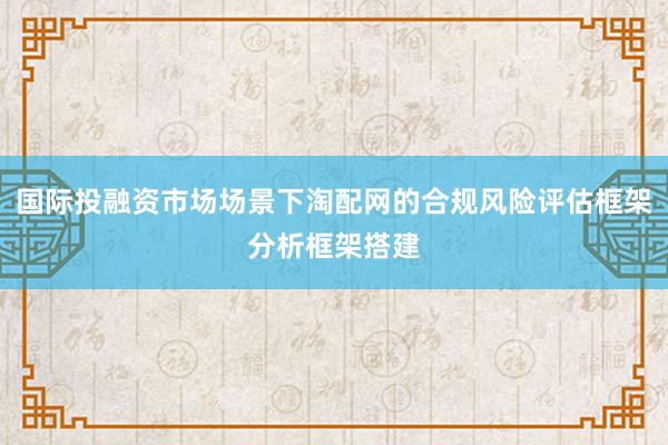 国际投融资市场场景下淘配网的合规风险评估框架分析框架搭建