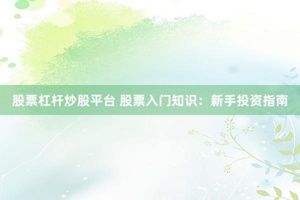 股票杠杆炒股平台 股票入门知识：新手投资指南