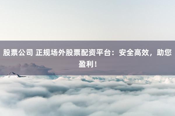 股票公司 正规场外股票配资平台：安全高效，助您盈利！