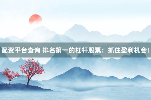 配资平台查询 排名第一的杠杆股票：抓住盈利机会！